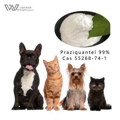 Antiparasitic Praziquantel Powder for Schistosomiasis Treatment