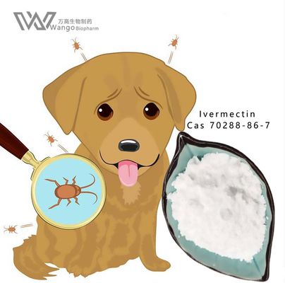 Wango Mk 933 Ivermectin White Fine Powder FDA Approved Antiparasitic Drug