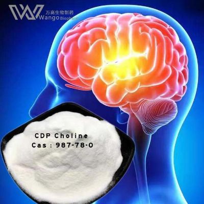 Nootropics Ingredients CDP Choline Supplement , Citicoline Powder Bulk CAS 987-78-0