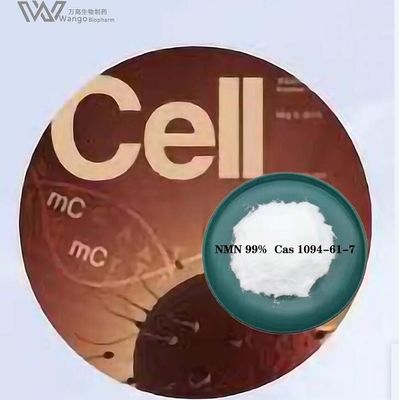 NMN Nicotinamide Riboside Chloride Powder CAS 1094-61-7 Premium NMN Powder 99% Purity | World's Top Anti-Aging & Longevity Supplement | Boost NAD+ for Cellular Energy & Repair | cGMP Manufacturer