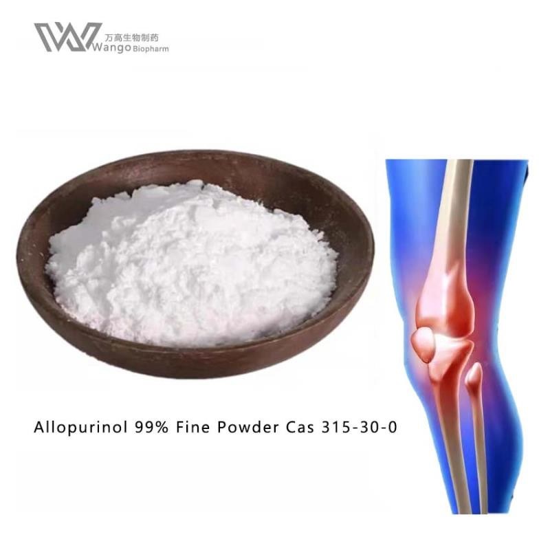 Versus Arthritis Gout Medication Allopurinol Fine Powder Cas 315-30-0