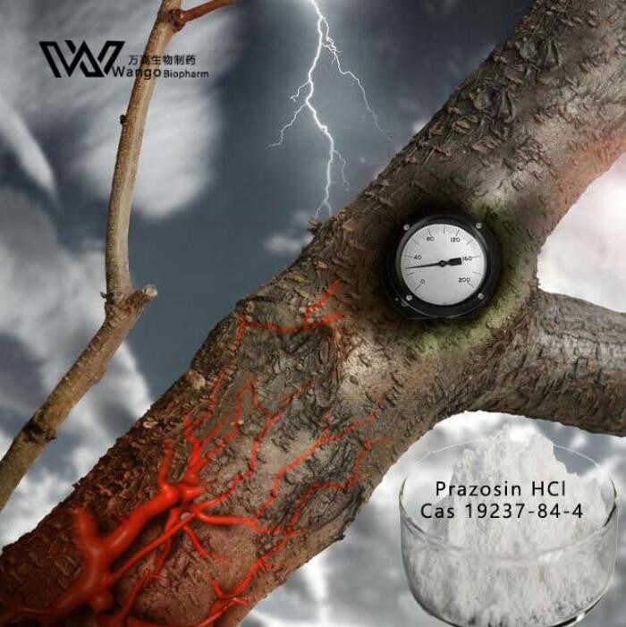 Terazosin HCl API Active Pharmaceutical Ingredient 63074-08-8 For Antihypertensive