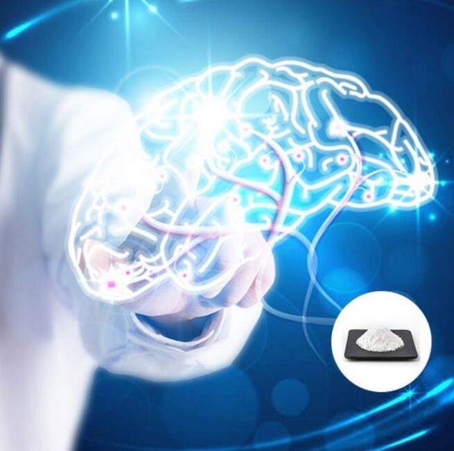 CAS 987-78-0 CDP Choline Supplement Powder Nootropics Protects Brain Trauma
