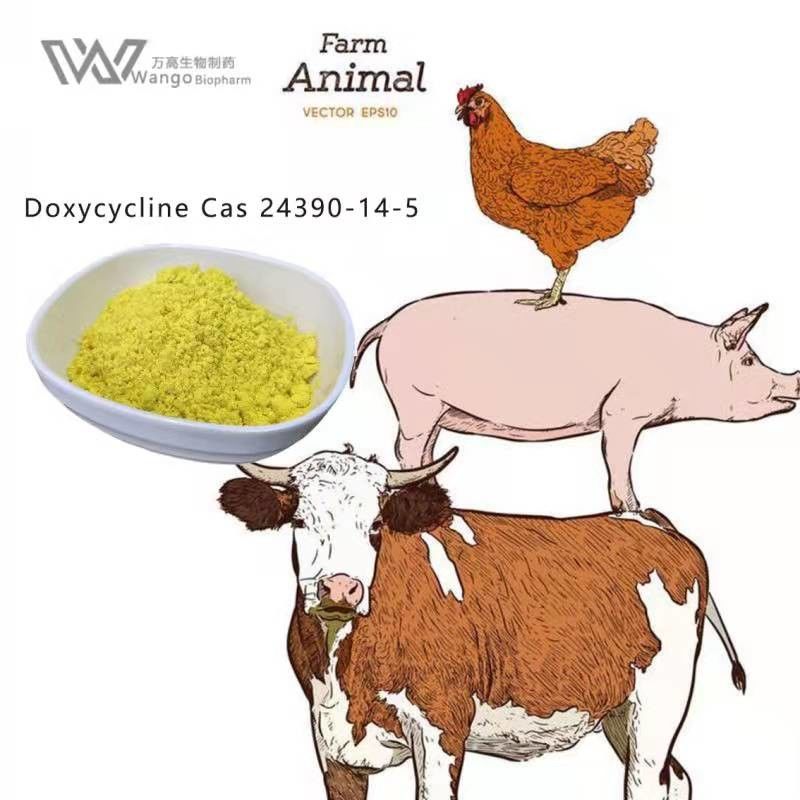 Cas 24390-14-5 Doxycycline HCL Corrosion Remover Pesticide