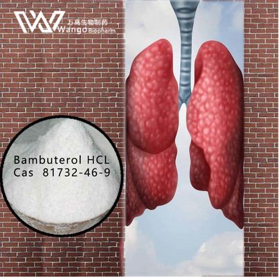 بامبوترول HCL 99% ضد آسم 81732-46-9 برای درمان آسم برونش