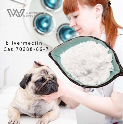 پودر ایورمکتین خالص USP36، مواد ضد انگلی Mk933 برای حیوانات خانگی و دامپزشکان