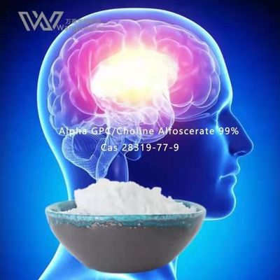 HPLC Nootropics Bulk Powders, Alpha Gpc Acetylcholine 28319-77-9